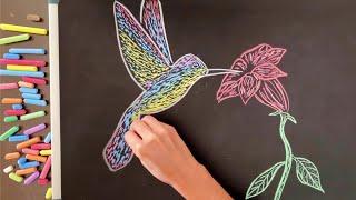 Lets Draw a Hummingbird  8 Hrs of Chalk Art & Lullabies