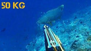 Catching Big Grouper 110 LbsPanah Kerapu Kertang 50 Kg