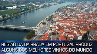 REGIÃO DA BAIRRADA EM PORTUGAL PRODUZ ALGUNS DOS MELHORES VINHOS DO MUNDO