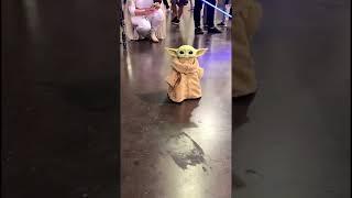 Baby Yoda Walking Around Star Wars Celebration