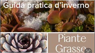 GUIDA per affrontare  inverno con le PIANTE GRASSE