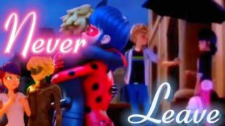 Never Leave- Miraculous Ladybug Love Square  Amv