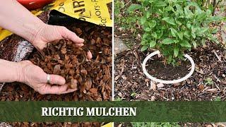 Mulchen - aber richtig  Vor- und Nachteile verschiedener Mulch Materialien  im Überblick