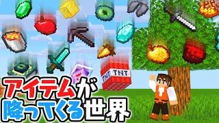 アイテムが大量に降ってくる?めちゃくちゃな世界でエンドラ討伐マイクラMod実況【マインクラフト】