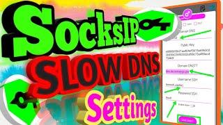 How to Configure Slow DNS on Socks IP Tunnel  Step-by-Step Android Guide