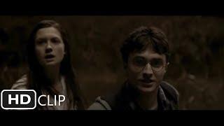 Fight At The Burrow  Harry Potter and the Half-Blood Prince