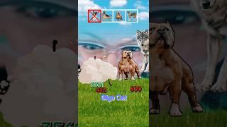 MI PERRO LE GANA  #shorts #viralvideo