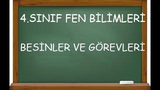 4.Sınıf Fen Bilgisi Besinler ve Görevleri