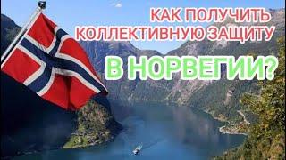 Украинец в Норвегии  коллективная защита  интеграционная программа