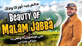 Exploring Malam Jabbas Heights Chair Lift Journey  Travel Vlog  Swat Kalam June-24