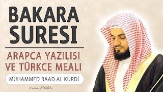 Bakara suresi anlamı dinle Muhammed Raad al Kurdi Bakara suresi arapça yazılışı okunuşu ve meali