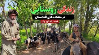 سفر به پایان دهکده مغل قشلاق ، دیدار و گفتگو با روستایی ها     Village life in rural Afghanistan