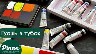 Обзор на ГУАШЬ от Pinax обзор сравнение