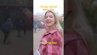 Patna Zoo in Bihar India  #patna #bihar #india #patnazoo #travelvlog #biharvlog #indiatourism