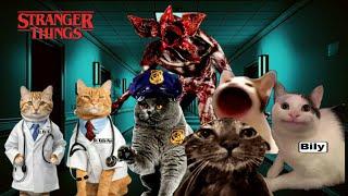 Stranger Things with Cat Celebrities