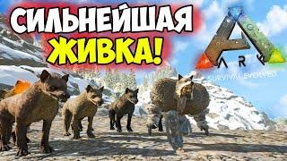 Самая ИМБОВАЯ СТАЯ в ARK? Зачем ТАМИТЬ Скорпиона Саблезуба Ответ от АРКЕРА ДИЕГО Хроники АРКа #10