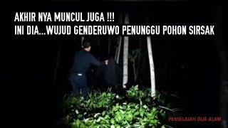 AKHIR NYA MUNCUL JUGA  WUJUD GENDERUWO PENUNGGU POHON SIRSAK