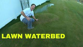 GRASS BUBBLE. LAWN WATERBED