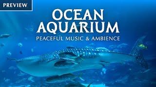  Ocean Aquarium Preview  Underwater Ambience with Peaceful Music for Study Sleep and Relaxing