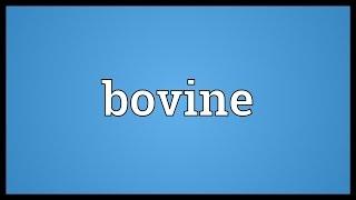 Bovine Meaning