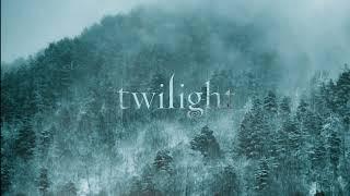 a nostalgic twilight comfort playlist instrumentals + rain ambience