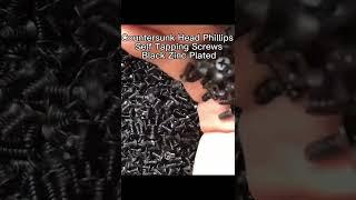 Countersunk Head Phillips Self-tapping Screws Black Zinc Plated
