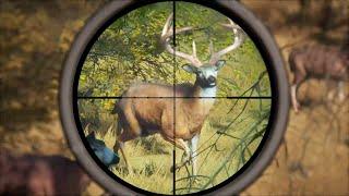 Hunting HUGE Whitetail DEER and TROPHY Elk in Hunter Call Of The Wild