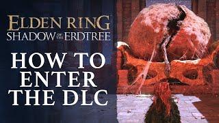 Elden Ring Shadow of the Erdtree - How to Start The DLC