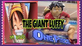 THE GIANT LUFFY AT SM NORTH #smnorthedsa #onepiece #luffy