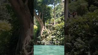 The best attraction in Cebu Philippines #travel #cebu #philippines #canyoneering #fun