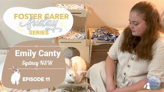 Fostering Baby Bunnies with Emily Canty  Foster Carer Friday Series  Episode 11