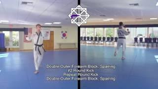 ATA Songahm Taekwondo - Purple Belt
