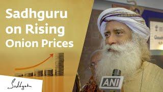 Onion Price Rise Our Farmers Deserve a Fair Price  Sadhguru