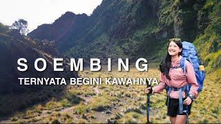 PENDAKIAN GUNUNG SUMBING via BANARAN  Sejarah Kawah Yang Sebenarnya...