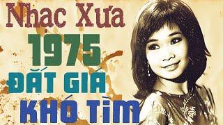Nhạc Xưa 1975 Đắt Giá Khó Tìm  Nhạc Vàng Xưa Sài Gòn 1975 Nhiều Danh Ca Chọn Lọc Hay Nhất