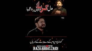 #shorts  Dil Karbala Main Reh Gaya  Syed Raza Abbas Zaidi  Nohay 2018