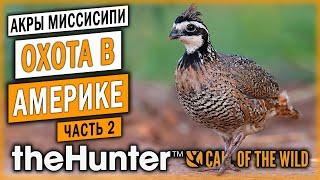 theHunter Call of the Wild   ОХОТА НА КУРОПАТОК  Новый Заказник Акры Миссисипи  часть 2