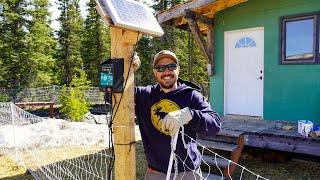 A Chicken Coop Built for Alaska  Finishing the Interior & Solar Electric Fencing