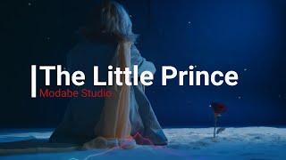 DEMO The Little Prince
