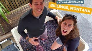 Get Juicy At Yellowstone Cellars Grape Stomping Event In Billings Montana