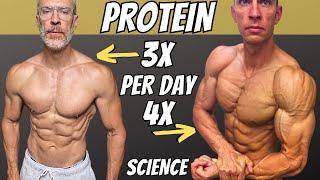 How Much Protein You Need  How Often Science