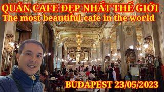 Ngỡ ngàng Quán Cafe Đẹp Nhất Thế Giới ở Budapest Hungary  Du lịch Châu Âu  Nick Nguyen