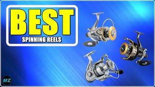  Top 4 Best Saltwater Spinning Reels Under $50  2023 Review  Aliexpress - Budget Fishing Reels