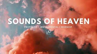 5 Hours-Relaxing Instrumental Worship Music  SOUNDS OF HEAVEN  Prayer Meditation & Sleep Music
