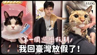 VLOG｜遊學後第一個長假回臺灣家！貓貓們近況、看新家傢俱、做美甲...｜蘿倫 Lauren