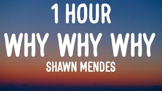 Shawn Mendes - Why Why Why 1 HOURLyrics