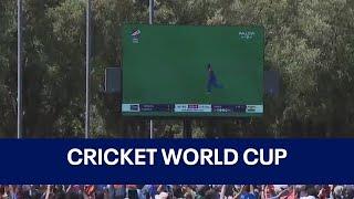 India vs. South Africa Cricket SF Unicorns host watch party  KTVU