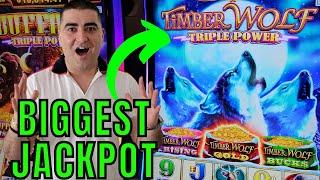 BIGGEST JACKPOT Ever On Timber Wolf Triple Power Slot