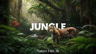 Jungle 4K - A Forest Scenic Cinema