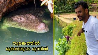 തുരങ്കത്തിൽ മുതലയുടെ മുന്നിൽ .. The vegetarian Crocodile  Ananthapuram Temple